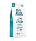 BRIT Care Dog Grain-free Adult 12kg
