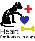 RUMUNSKO- Heart for Romanian dogs z.s.